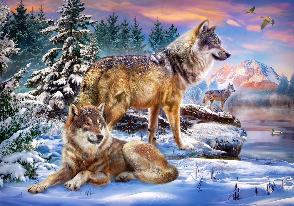 WOLFISH WONDERLAND – Image 2