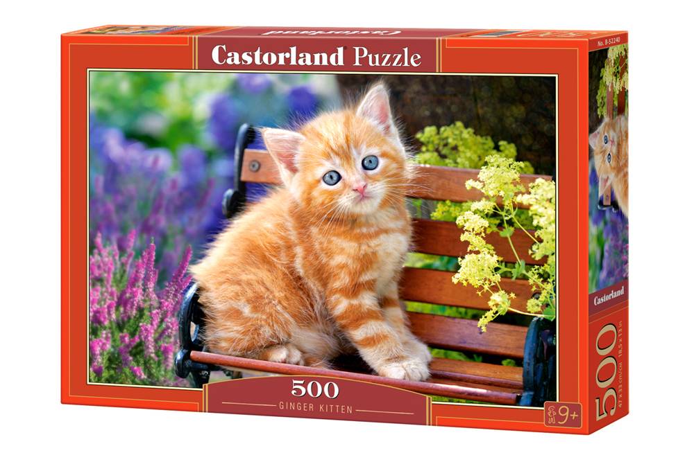 GINGER KITTEN – Image 2