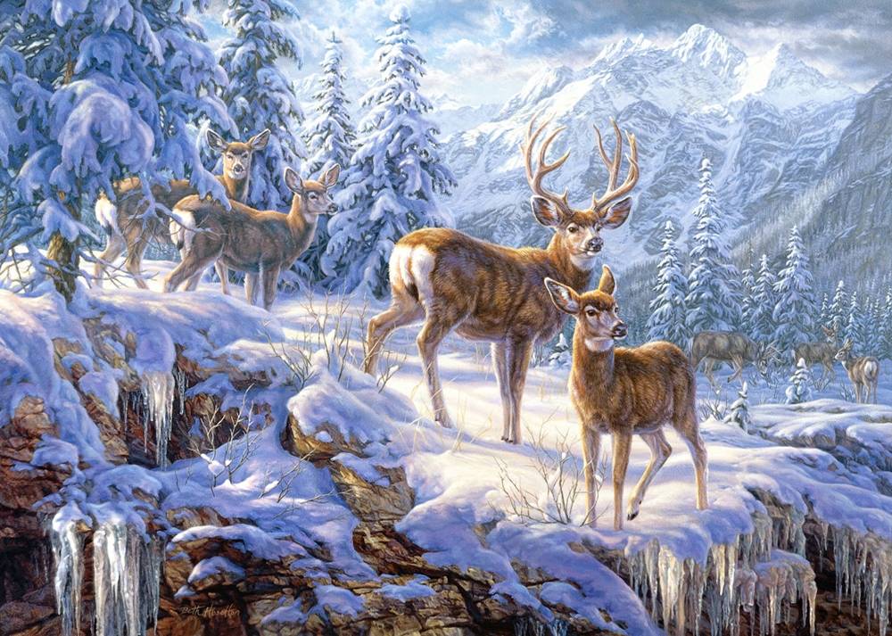 WINTER MOUNTAIN – Image 2