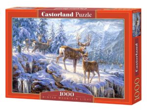 WINTER MOUNTAIN