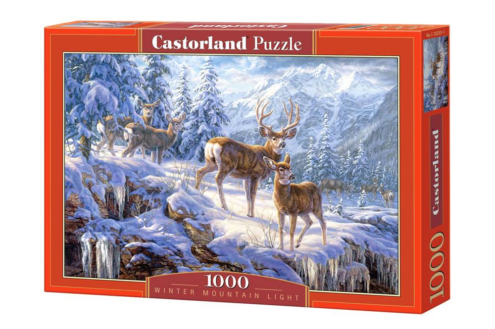 WINTER MOUNTAIN