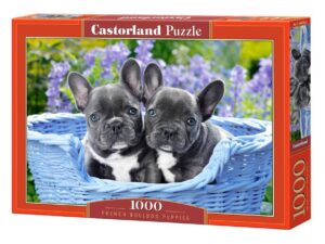 FRENCH BULLDOG PUPPIES