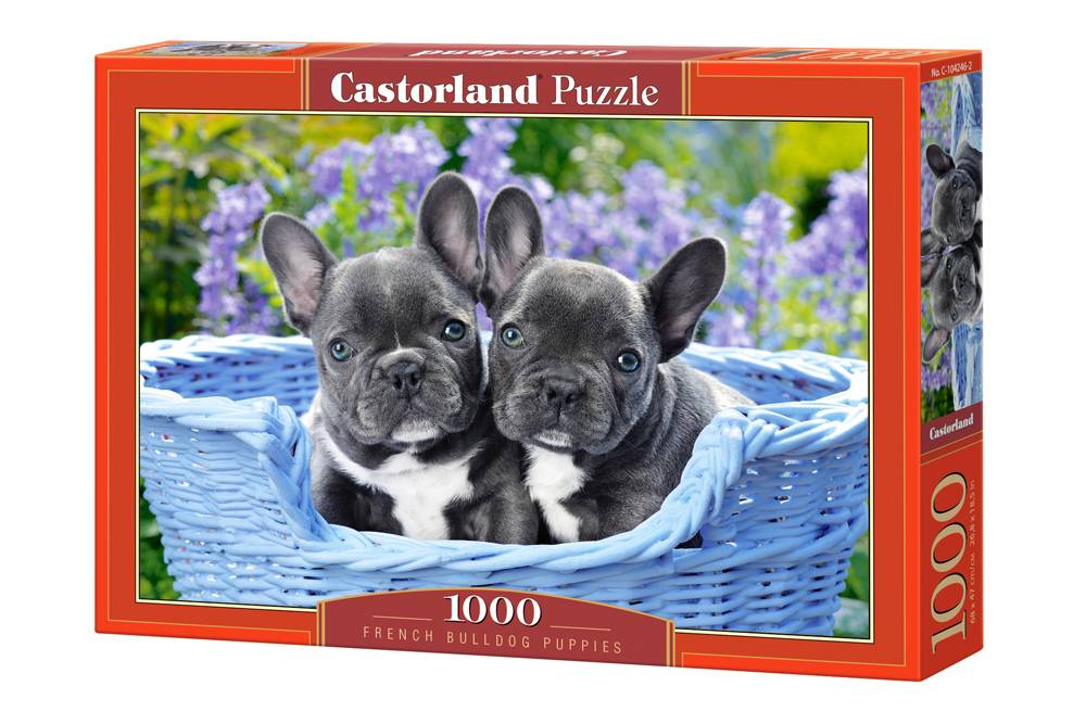 FRENCH BULLDOG PUPPIES