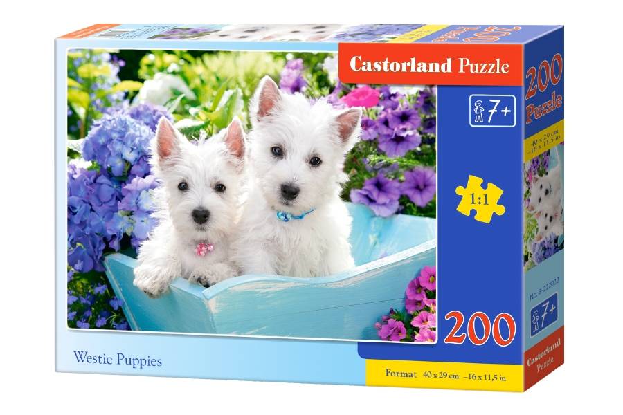 WESTIE PUPPIES