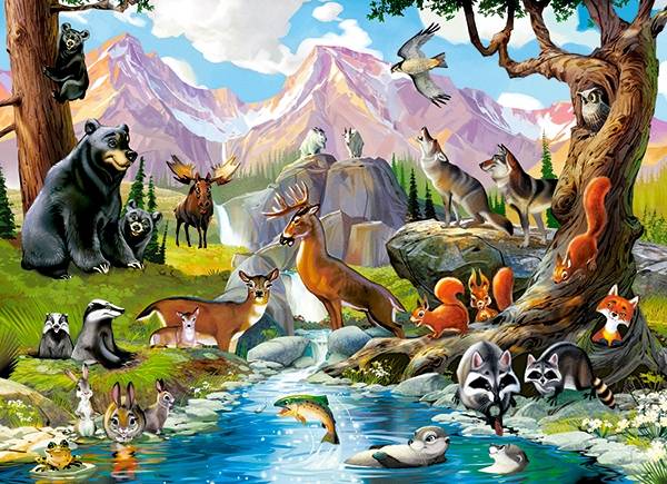 FOREST ANIMALS – Image 2