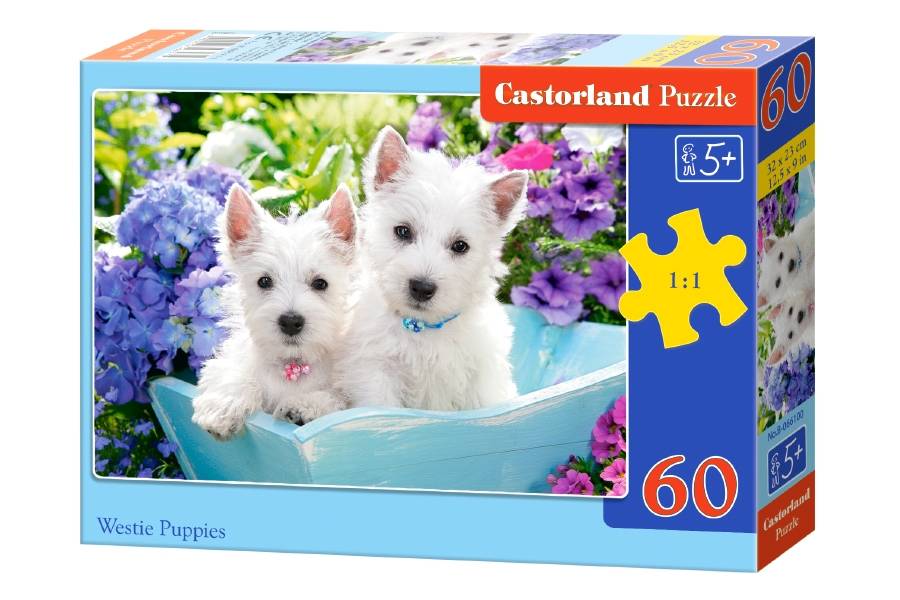 WESTIE PUPPIES