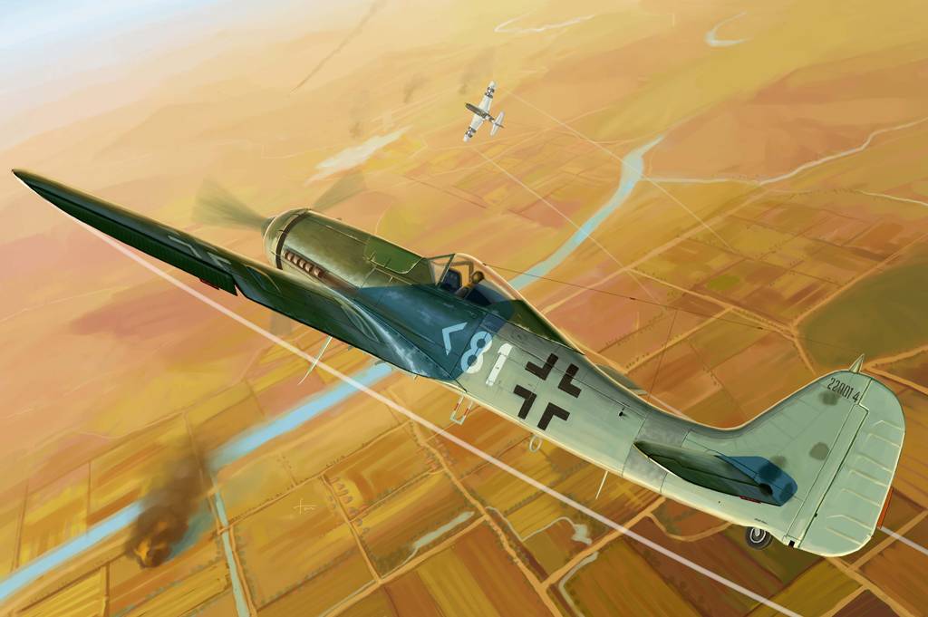 Focke Wulf FW 190D-11 – Image 2