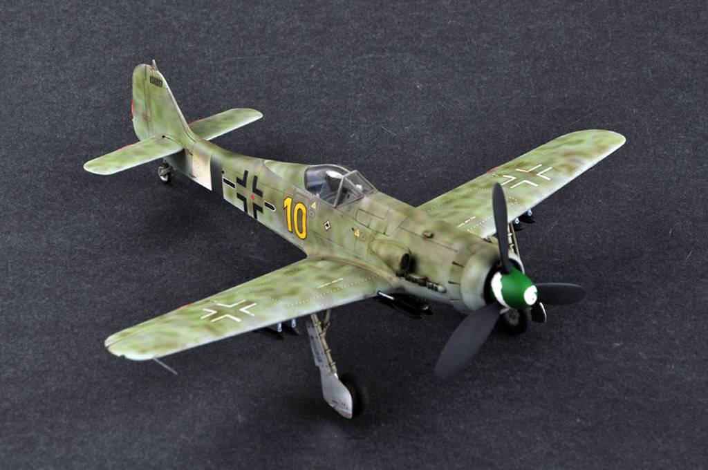 Focke-Wulf FW190D-13 – Image 2