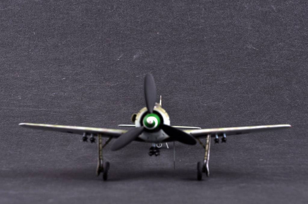 Focke-Wulf FW190D-13 – Image 4