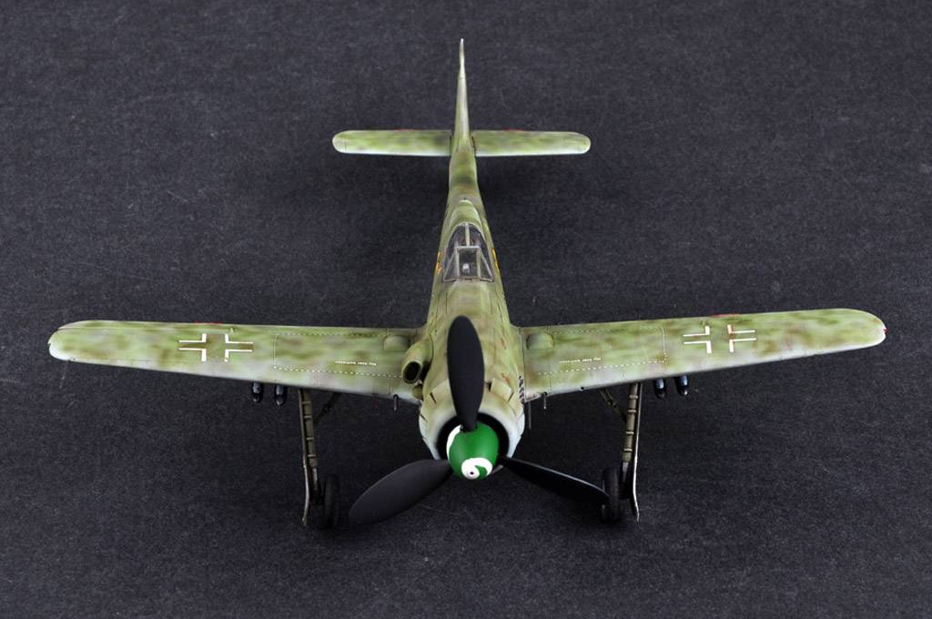 Focke-Wulf FW190D-13 – Image 5