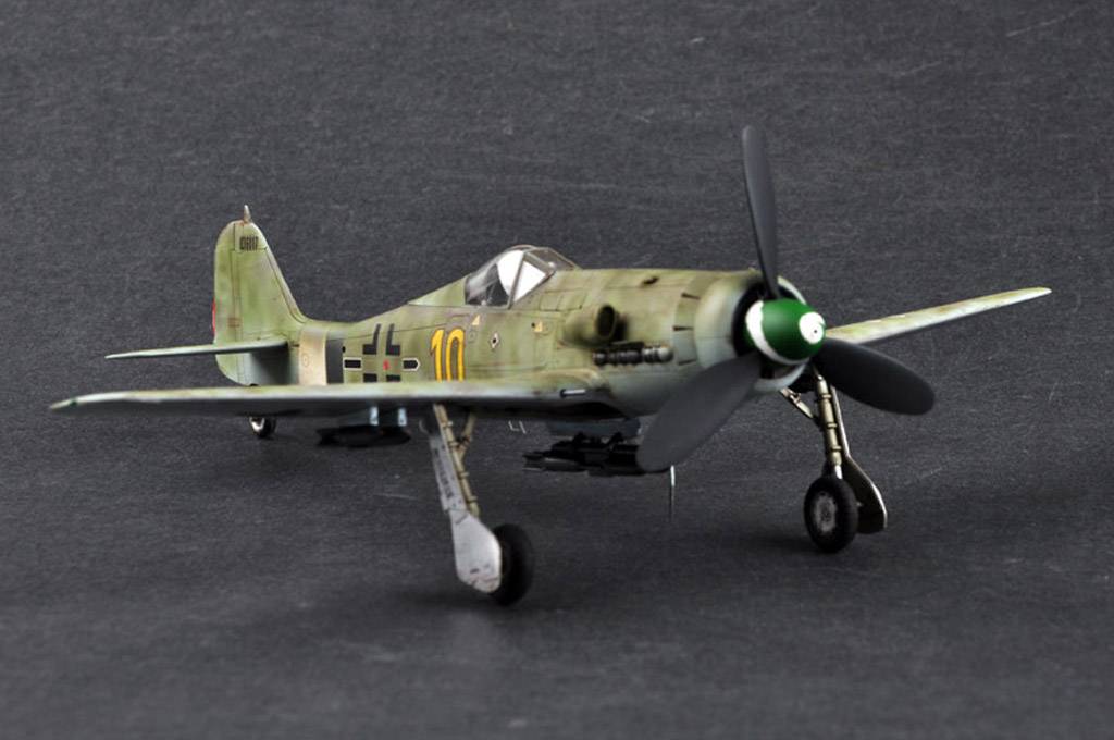 Focke-Wulf FW190D-13 – Image 6