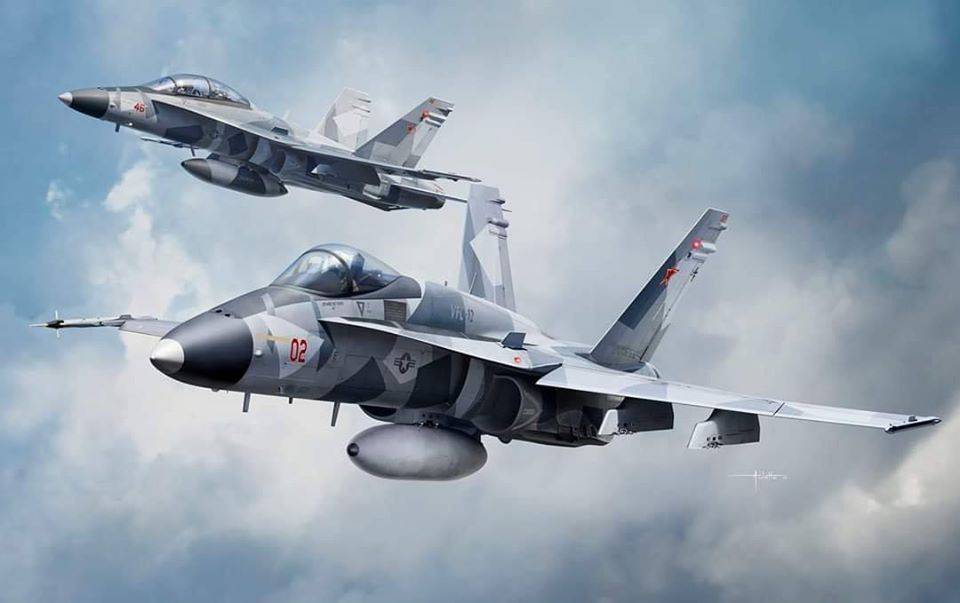F/A-18A/C/D Aggressor VFC-12 & VFA-204 – Image 2