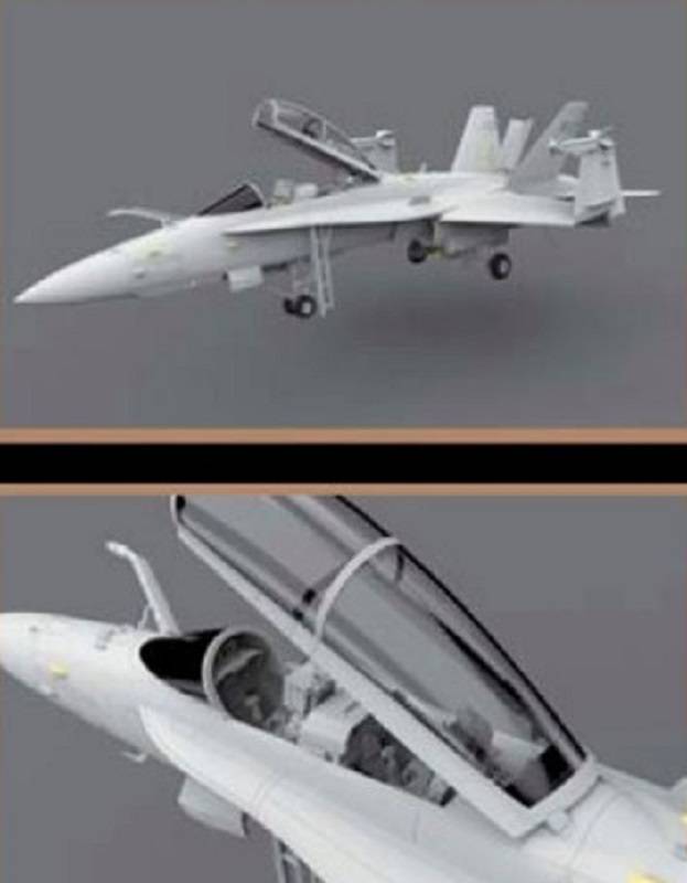 F/A-18A/C/D Aggressor VFC-12 & VFA-204 – Image 4