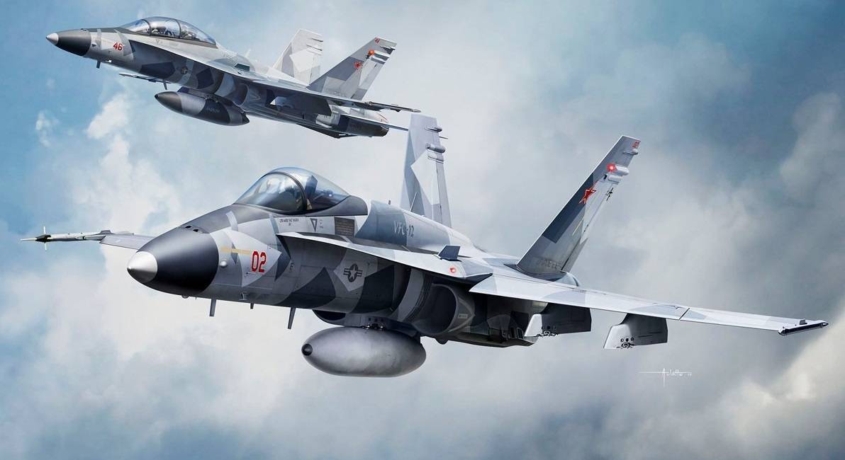 F/A-18A/C/D Aggressor VFC-12 & VFA-204 – Image 15