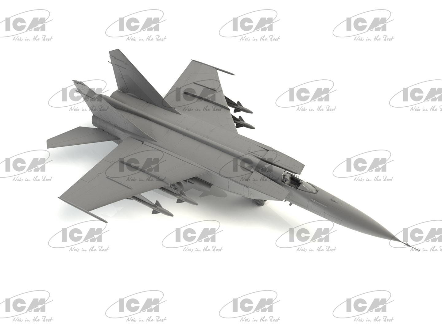 MiG-25 PD Soviet Interceptor Fighter – Image 2