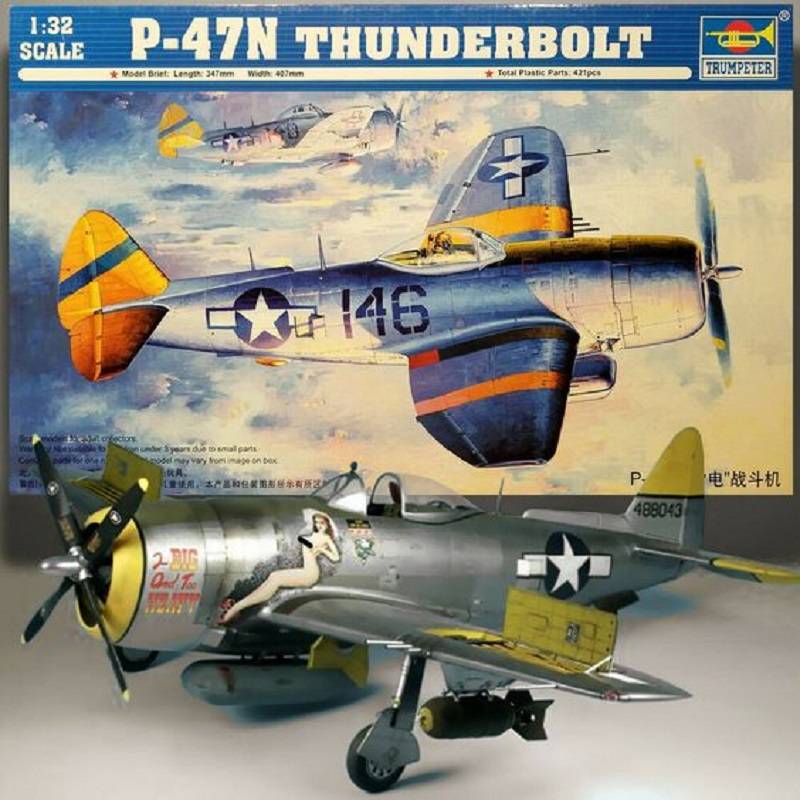 P-47N Thunderbolt – Image 2