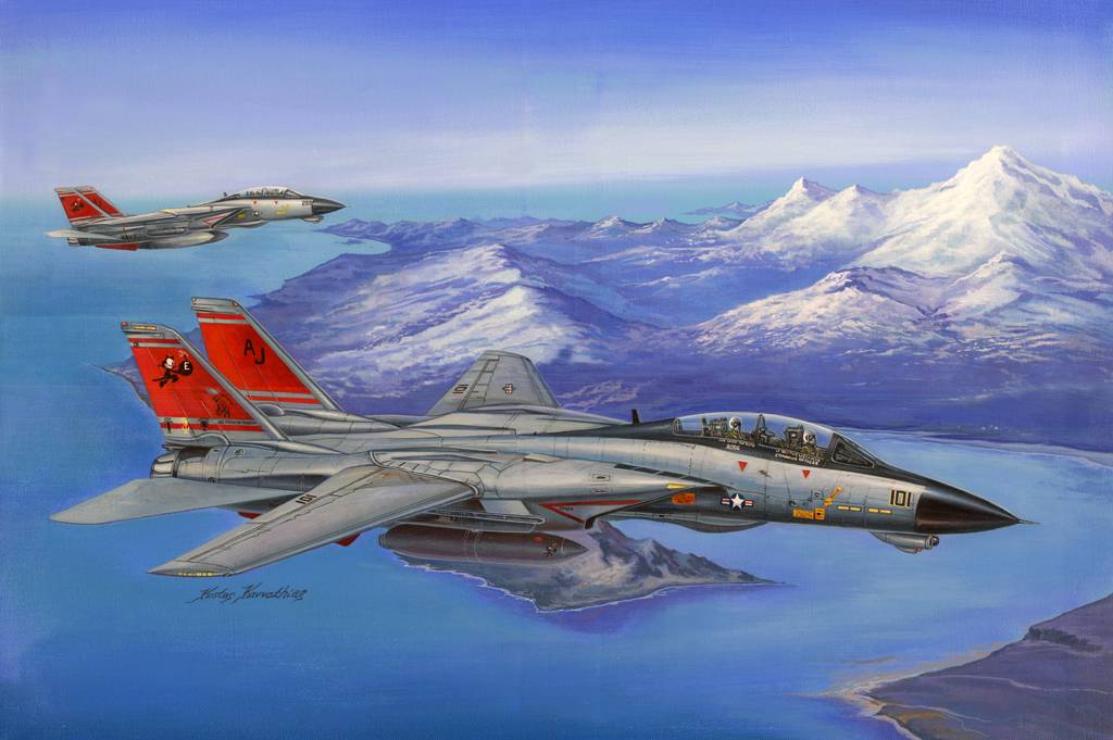 F-14D Super Tomcat – Image 2