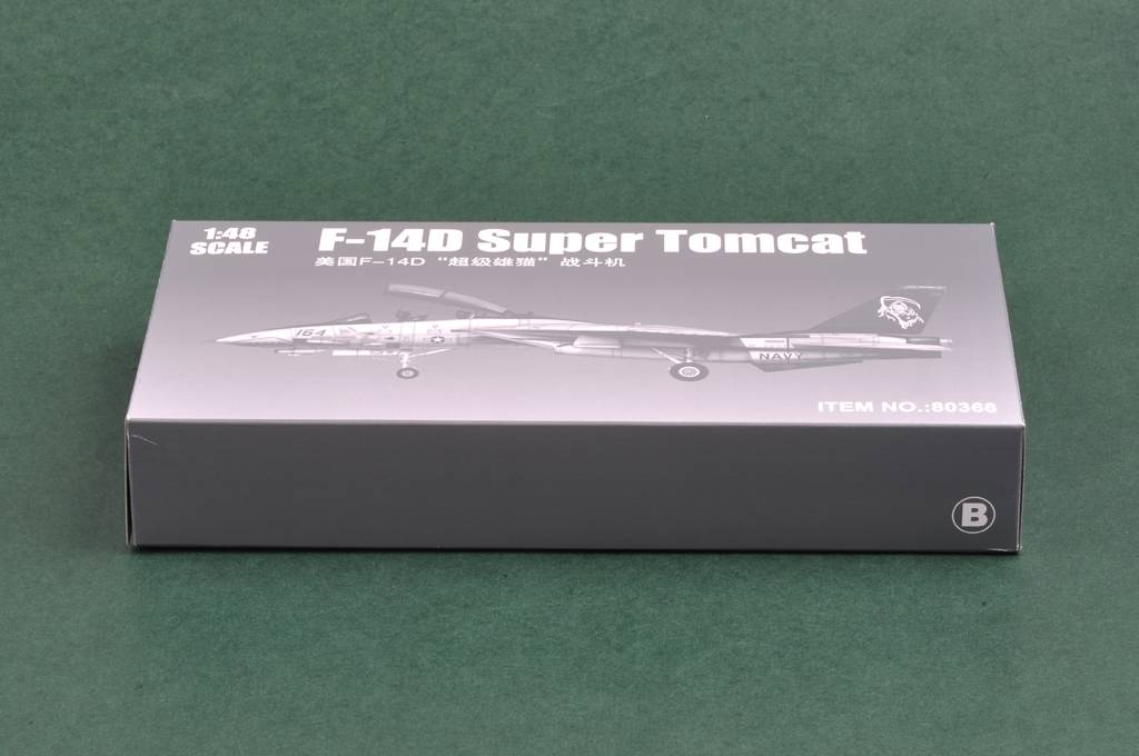 F-14D Super Tomcat – Image 18