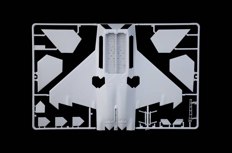 F-22 A Raptor – Image 9