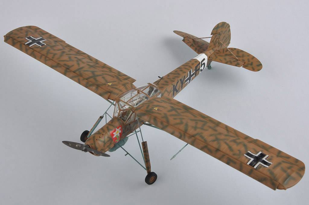 Fieseler Fi-156 C-3/TROP Storch – Image 5