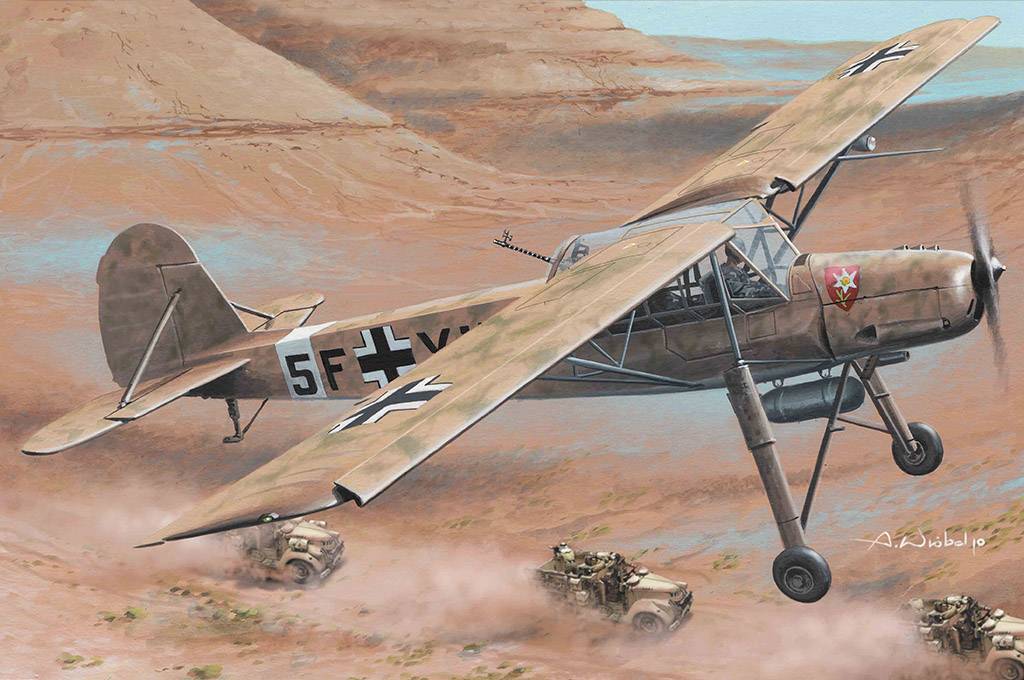 Fieseler Fi-156 C-3/TROP Storch – Image 9