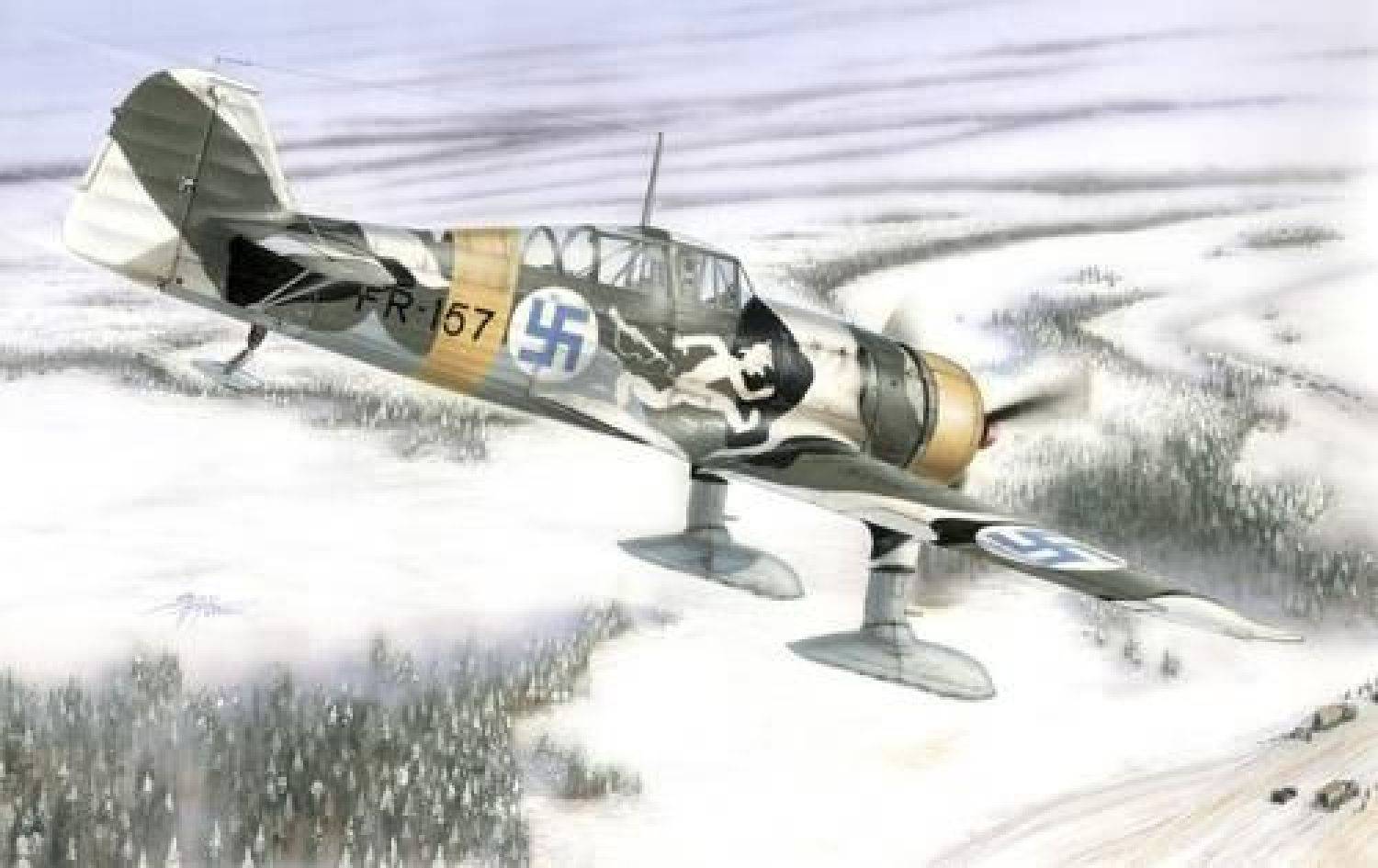 Fokker D.XXI "4.Sarja with Wasp Junior Engine" – Image 2