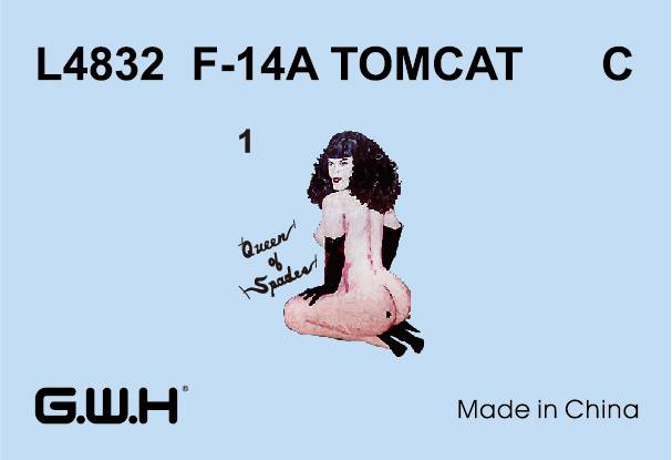 F-14A Tomcat – Image 9