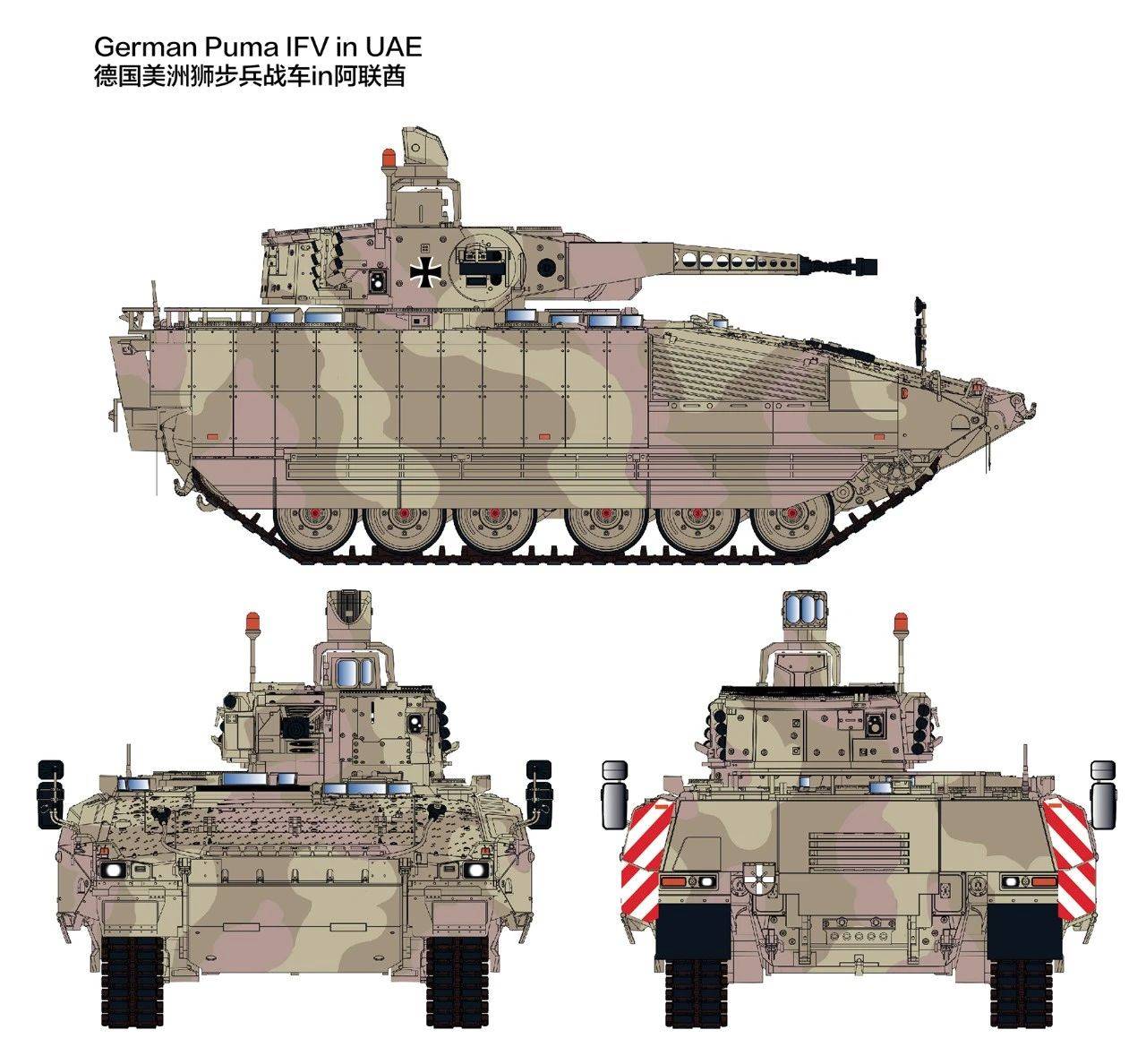 GERMAN SPZ PUMMA IN UAE – Image 2