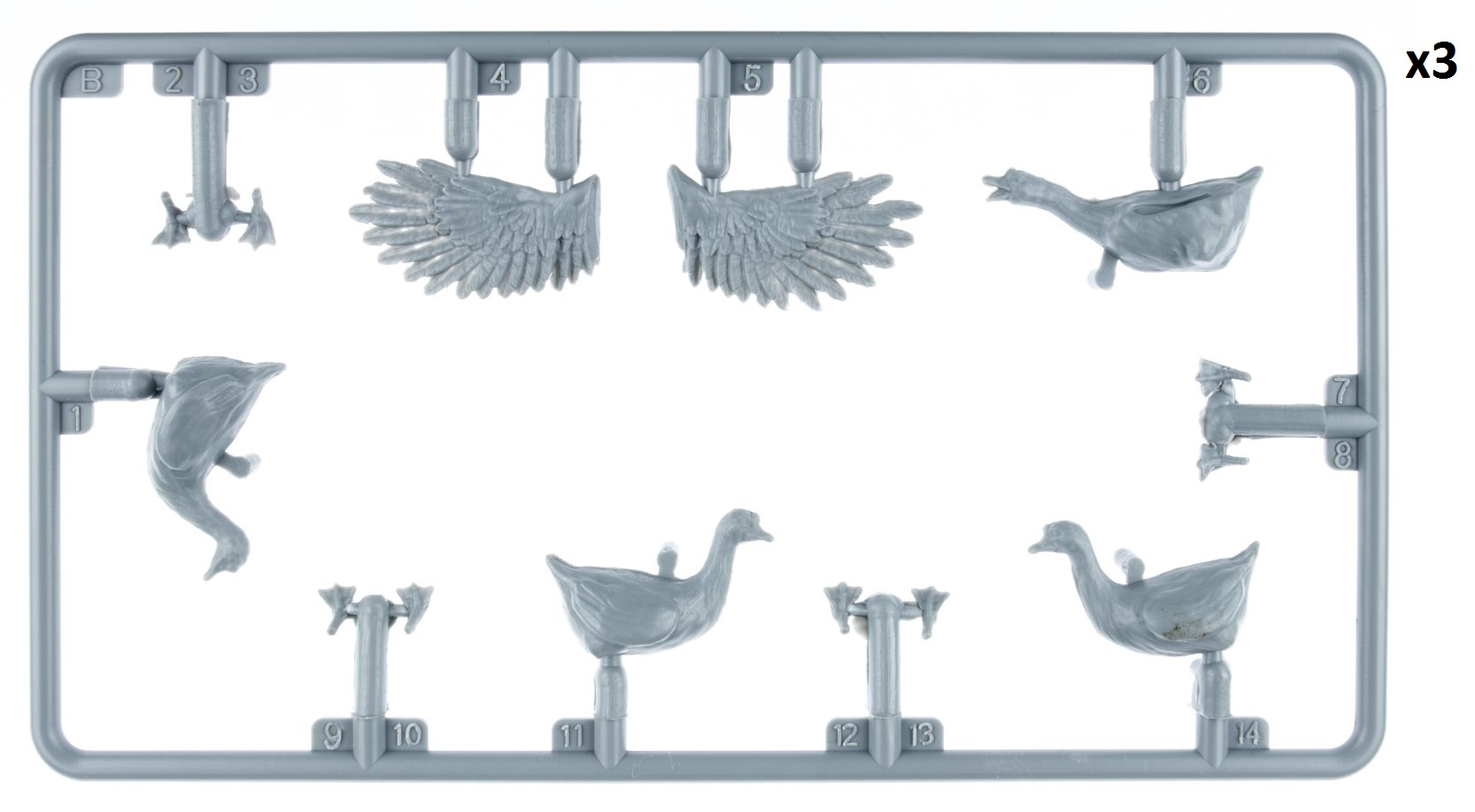 DUCKS & GEESE – Image 2