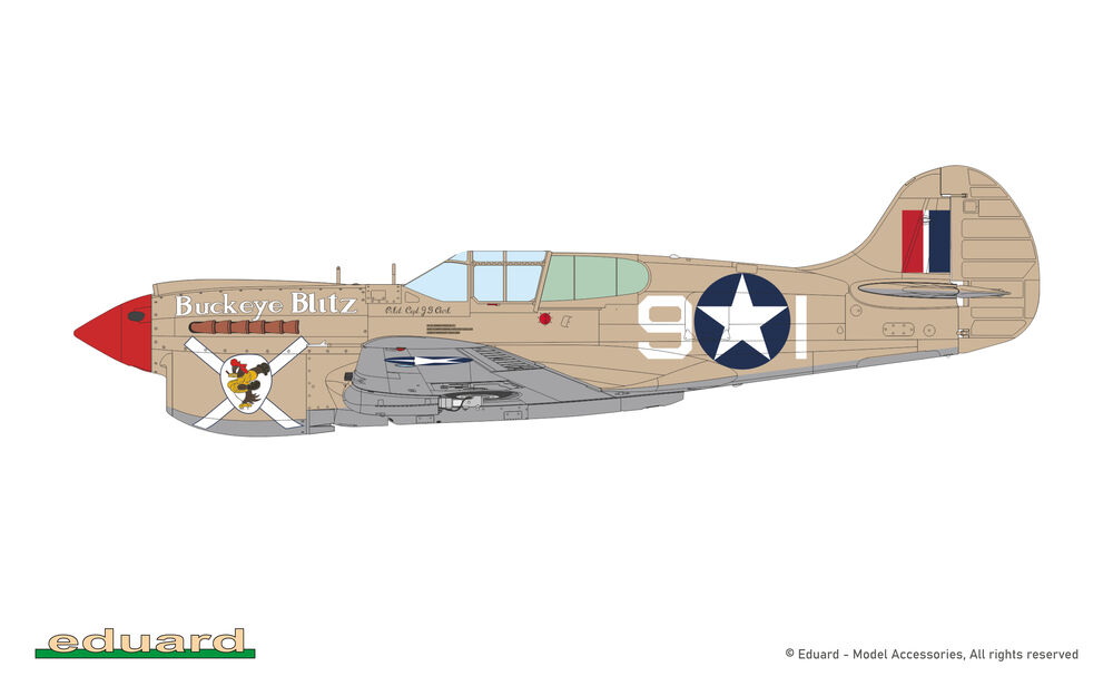 P-40K Warhawk short tail ProfiPACK edition – Image 17