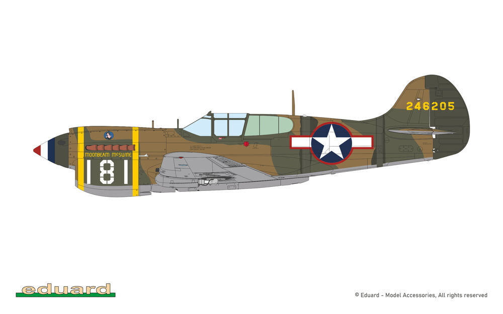 P-40K Warhawk short tail ProfiPACK edition – Image 14